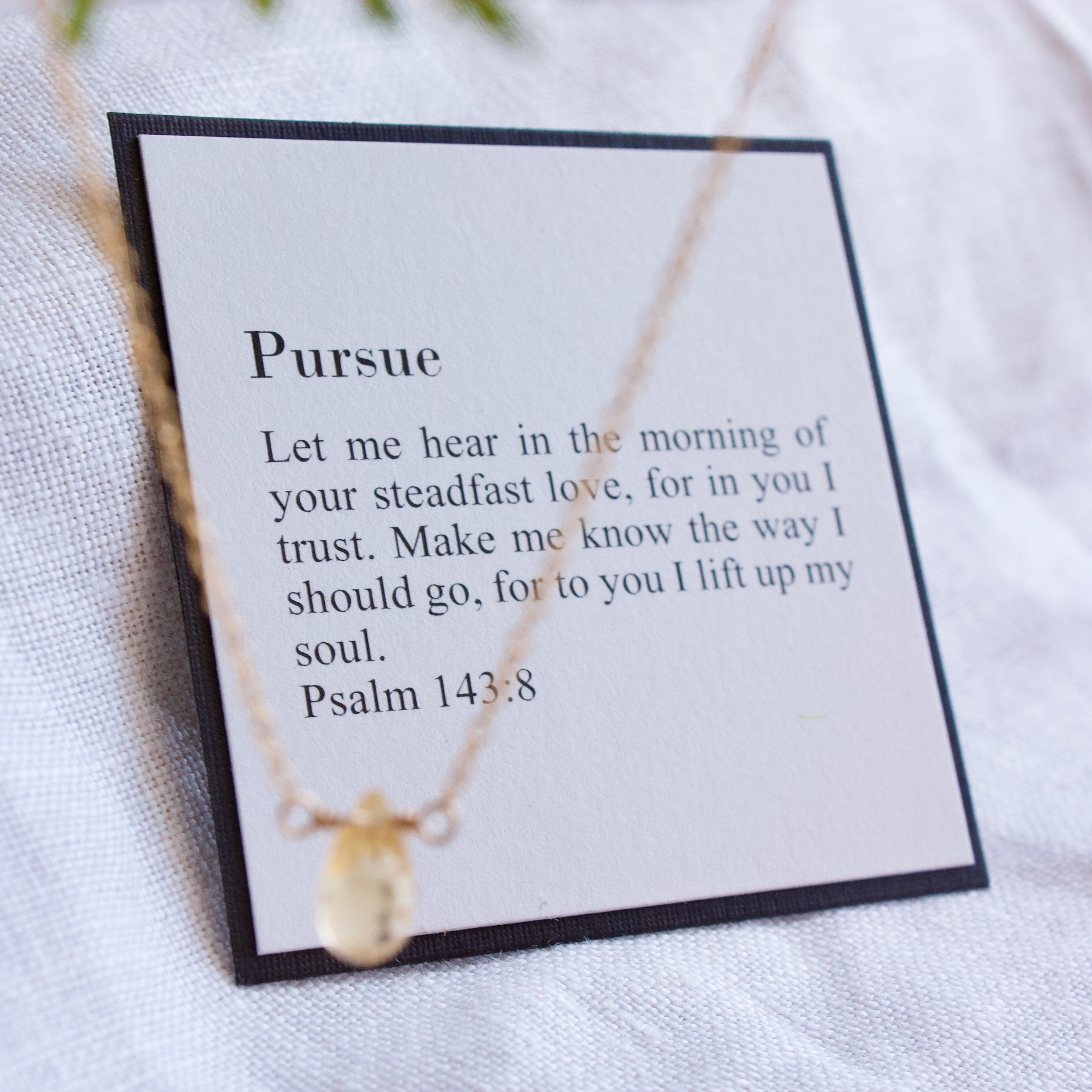 Pursue | Psalm 143:8